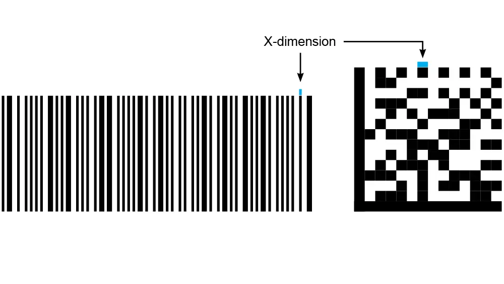 X-dimension diagram.webp