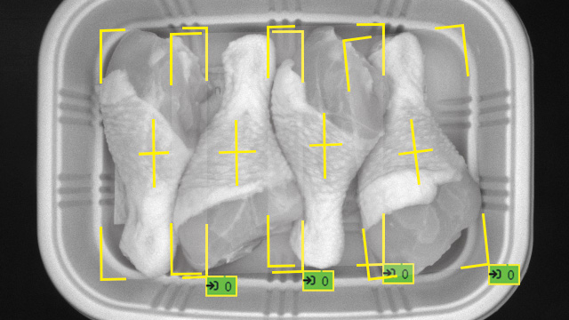 DL Chicken Drumsticks Count Overlay.jpg
